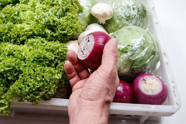 Man is choosing an onion form box of fresh vegetables. Cooking time - Foto, imagen