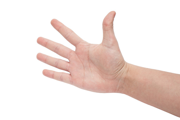 Açık sağ elin beş parmağını beyaz arka plan üzerinde izole gösterdi - Fotoğraf, Görsel
