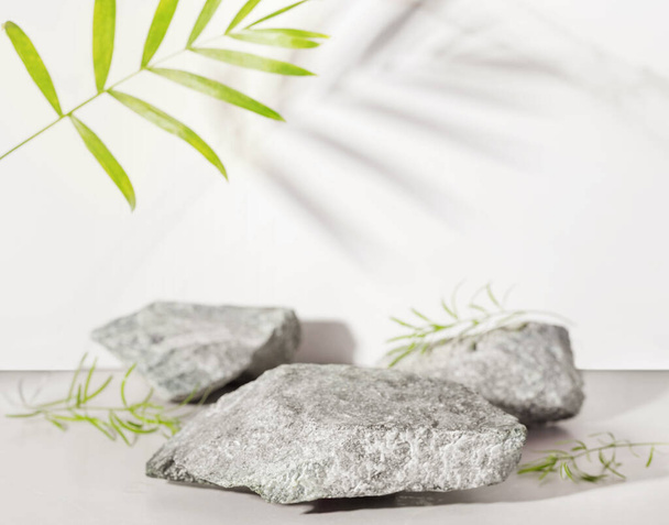 Podium made of natural stone and concrete with tropical leaves in sunlight. Empty showcase for packaging product presentation. Background for cosmetic products, scene with green leaves. - Photo, image