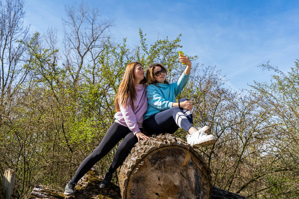 couple of pretty friendly women taking a selfie with smartphone sitting on pile of logs outdoors - Фото, зображення