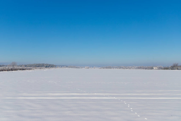 Сніговий ландшафт Панорами з слідами і блакитним небом. Фотографія високої якості - Фото, зображення