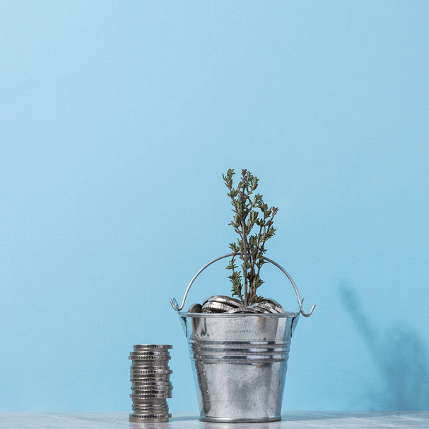 Coins in a small bucket and a plant, income growth concept - Foto, imagen