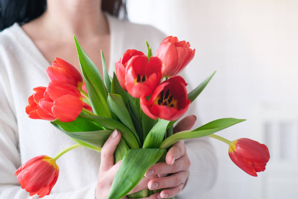International Womens Day.Close-up of a woman in a white sweater with a bouquet of red tulips. Horizontal photography. - Photo, image