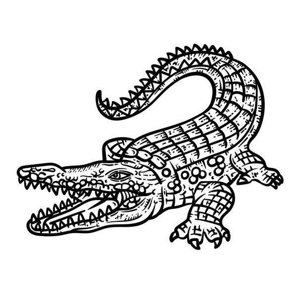 A cute and beautiful coloring page of a Crocodile Animal. Provides hours of coloring fun for adults. - Вектор,изображение