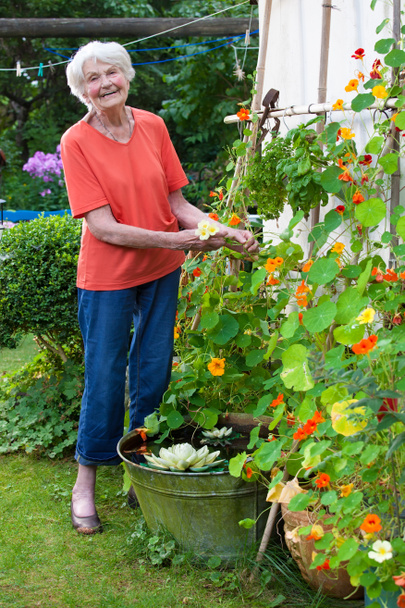 Senior woman working in garden - Фото, изображение