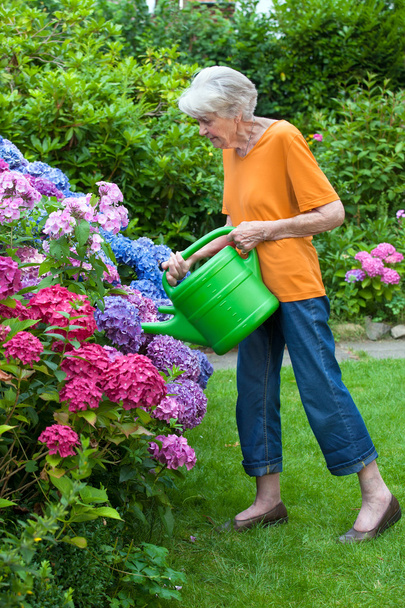 Senior woman watering flowers in garden - Fotoğraf, Görsel