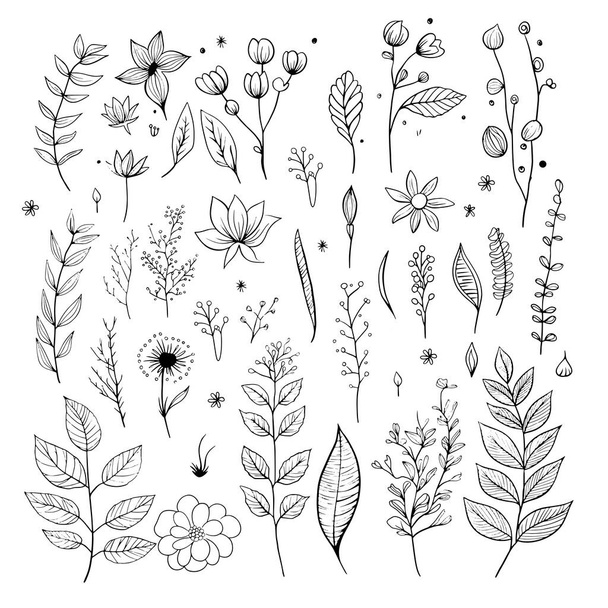 Vector set of handdrawn doodle frames and borders. Handdrawn elements, flowers, branches, swashes and flourishes. - Vector, Imagen