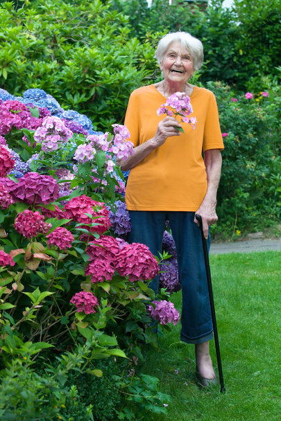 Senior woman in garden - Φωτογραφία, εικόνα