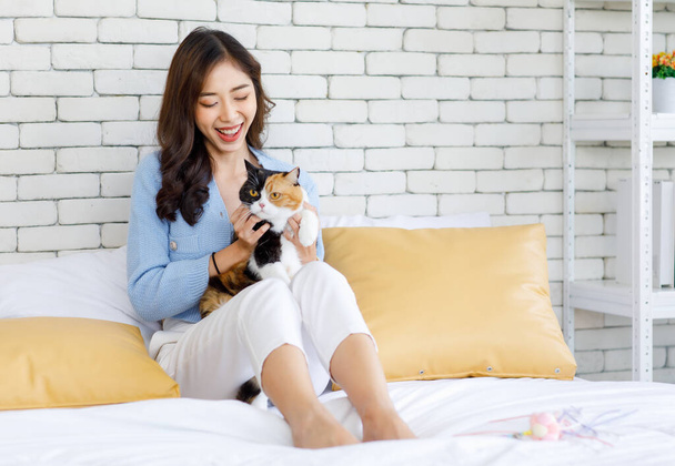 Millennial Aasian nuori ystävällisesti iloinen naispuolinen omistaja istuu nojaten tyynyt kodikas vuodesohva halaus halaus söpö pieni kotimainen kissanpentu tricolor pörröinen kissimirri lemmikki ystävä makuuhuoneessa kotona. - Valokuva, kuva