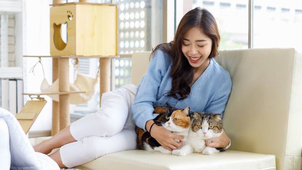 Millennial Asian young kindly cheerful female owner sitting on cozy sofa couch smiling holding hugging cuddling two short hair cute little domestic kitten furry purebreed pussycat pet friend at home. - Foto, Bild