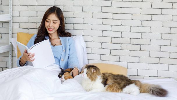 Millennial Asian young female owner sitting under blanket smiling reading book on bed in bedroom with two cute tabby short and long hair little domestic kitten furry purebred pussycat pet friend. - Valokuva, kuva