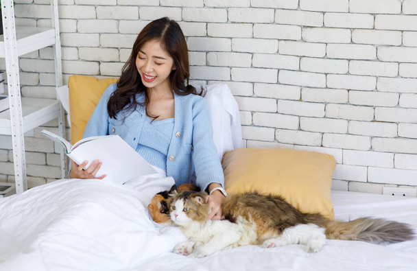 Millennial Asian young female owner sitting under blanket smiling reading book on bed in bedroom with two cute tabby short and long hair little domestic kitten furry purebred pussycat pet friend. - Фото, зображення