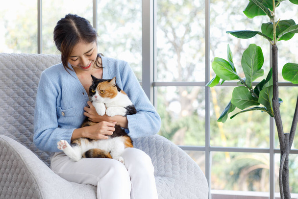 Millennial Asian young female owner sitting on cozy armchair smiling holding hugging cuddling showing love to cute fat tabby tricolor short hair little domestic furry purebred pussycat in arms. - Photo, Image
