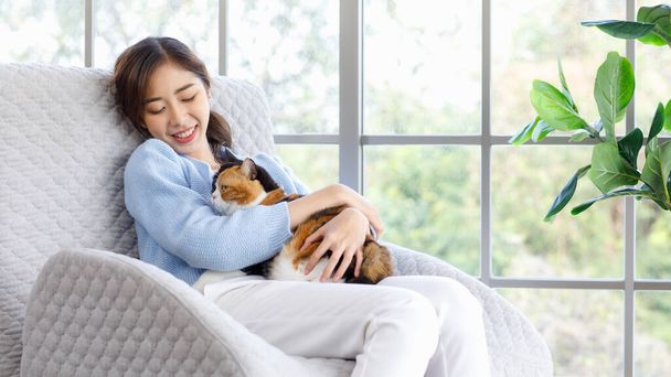 Millennial Asian young female owner sitting on cozy armchair smiling holding hugging cuddling showing love to cute fat tabby tricolor short hair little domestic furry purebred pussycat in arms. - Photo, Image