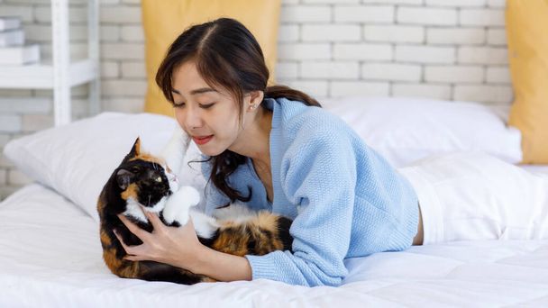 Millennial Asian young kindly cheerful female owner laying lying down on pillows cozy sofa bed hugging cuddling cute little domestic kitten tricolor furry pussycat pet friend in living room at home. - Fotografie, Obrázek