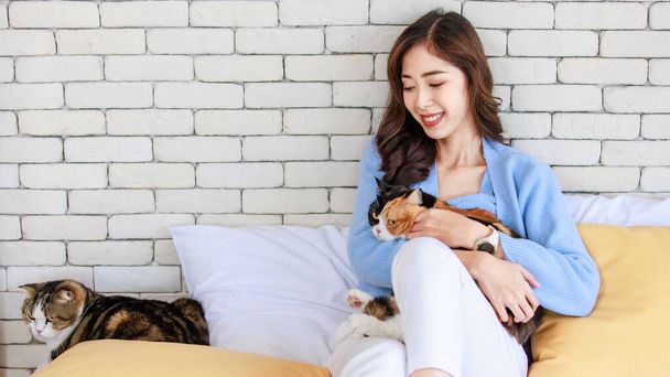 Millennial Asian young female owner sitting smiling leaning on pillow holding hugging cuddling tricolor short hair cat on lap with love while fat tabby kitten laying down on bed in bedroom at home. - Fotografie, Obrázek