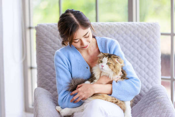Millennial Asian young female owner sitting on cozy armchair smiling holding hugging cuddling looking showing love to cute fat tabby long hair little domestic cat furry purebred pussycat in arms - Foto, Imagem