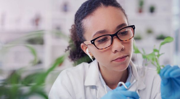 Shes gentle when it comes to working with nature. a young scientist working with plant samples in a lab - Foto, imagen