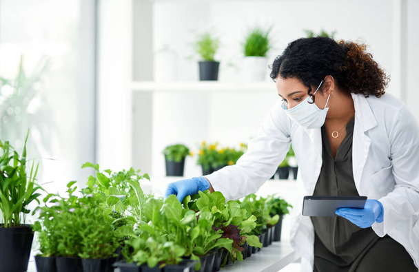 Im searching for less-damaging alternatives to pesticides. a female scientist experimenting with plants - Photo, Image