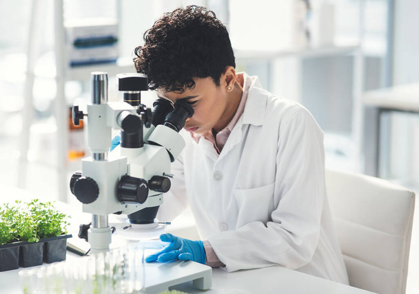 Κοίτα προσεκτικά, όλα ήρθαν στο φως. μια ελκυστική νεαρή γυναίκα επιστήμονας που κοιτάζει μέσα από ένα μικροσκόπιο ενώ εργάζεται με φυτά σε ένα εργαστήριο - Φωτογραφία, εικόνα