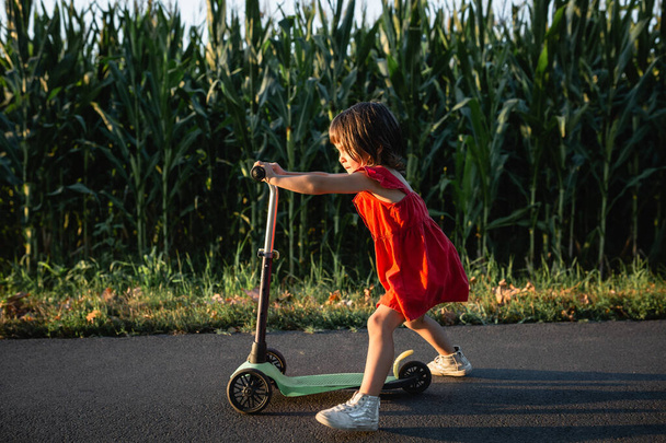 little girl in red dress riding green scooter on a road next to corn field - Photo, Image