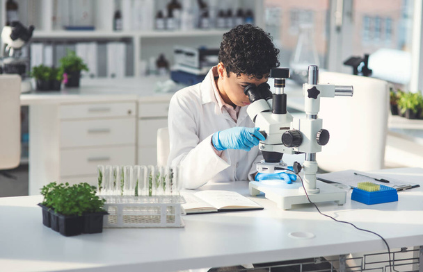 Rozejrzyj się, wiele do odkrycia. atrakcyjna młoda kobieta naukowiec patrząc przez mikroskop podczas pracy z roślinami w laboratorium - Zdjęcie, obraz