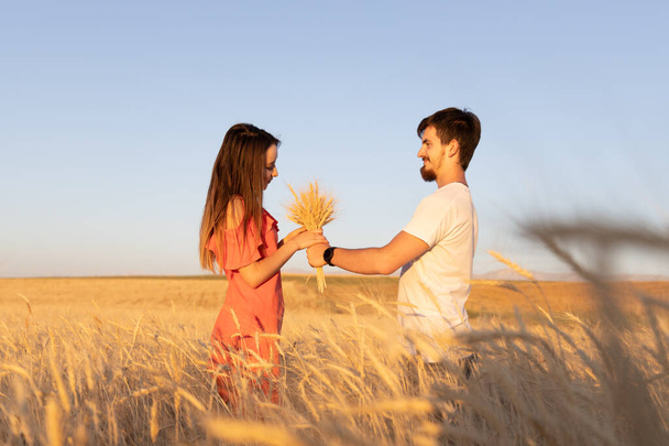 Young couple in the wheat field, The woman is grabbing bouquet of dry wheat, summer time. - Foto, Imagen