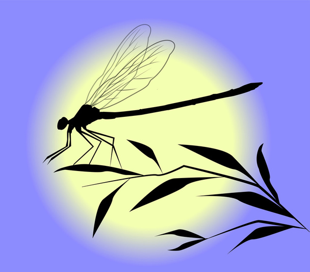 Dragonfly - Vector, Image