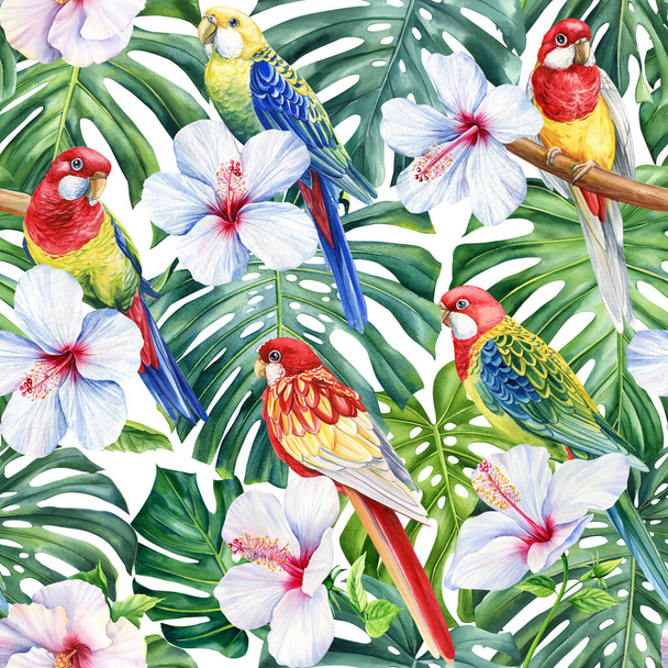 Тропические пальмовые листья, джунгли листья бесшовные акварели цветочный узор фон, модные цвета. Высокое качество иллюстрации - Фото, изображение