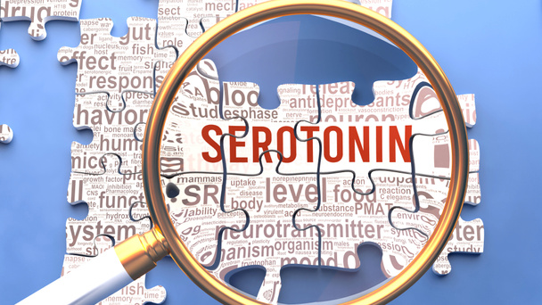 Serotonin wird genau untersucht, zusammen mit mehreren lebenswichtigen Konzepten und Ideen, die direkt mit Serotonin in Verbindung stehen. Viele Teile eines Puzzles bilden ein Ganzes. - Foto, Bild