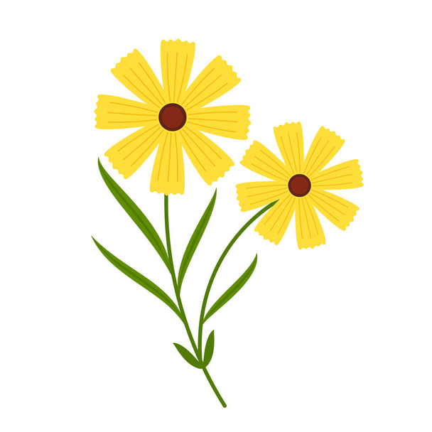 Mimosa flower vector. illustration isolated on white background. Yellow flower. - Wektor, obraz