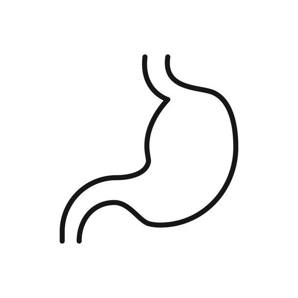 Editable Icon of Stomach, Vector illustration isolated on white background. using for Presentation, website or mobile app - Vector, imagen