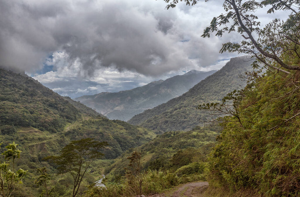 Green landscape in the Tabasara Mountains, Panama - 写真・画像