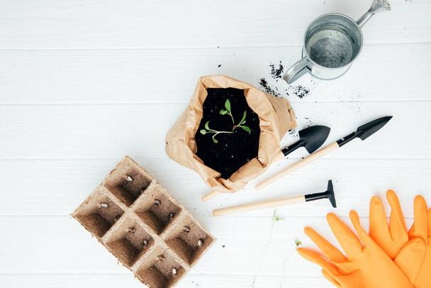Concept of gardening. Planting seedlings of vegetable crops in the house. Peat cassettes for seedlings, garden tools, orange gloves, soil on a white wooden background. Flat lay - Fotó, kép