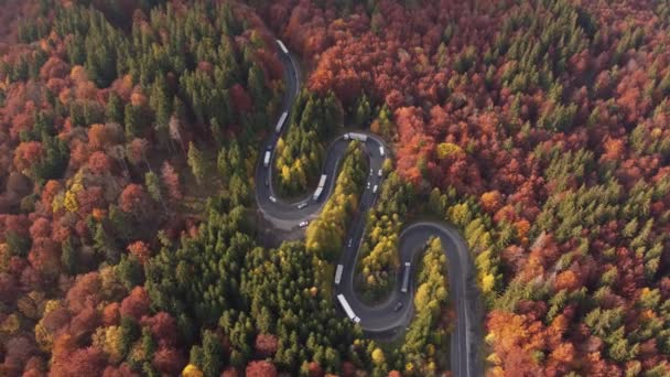 Veduta aerea di auto che guidano su una colorata strada di montagna tagliando attraverso la foresta decidua - Filmati, video