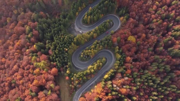 Vista aérea de los coches que conducen en un camino de montaña colorido que corta a través del bosque caducifolio - Imágenes, Vídeo