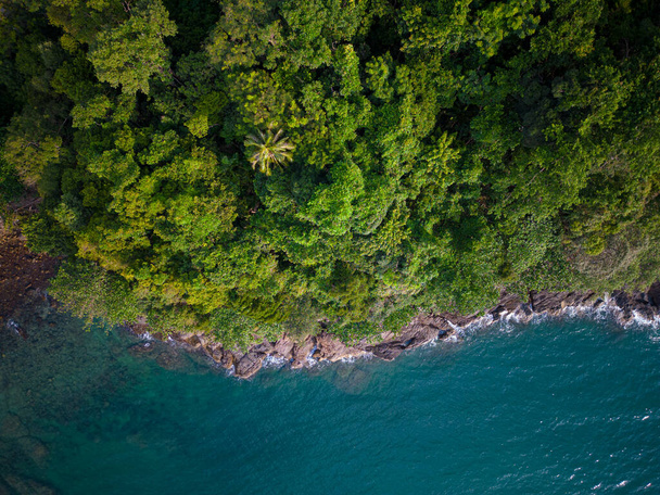Green tree forest on tropical mountain in island nature landscape aerial view - Photo, Image
