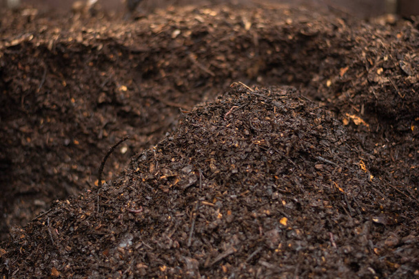 dojrzały kompost gotowy do użycia w ogrodzie produkowanym w kompostowniku umieszczonym we wspólnym obszarze w celu recyklingu odpadów organicznych z apartamentów miejskich. Koncepcja recyklingu i zrównoważonego rozwoju - Zdjęcie, obraz