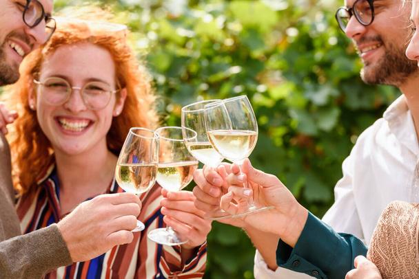 щасливі друзі п'ють вино на винограднику
 - Фото, зображення
