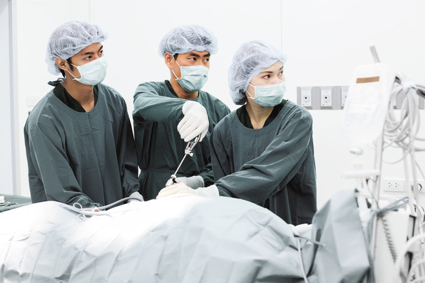 Veterinarian doctor in operation room for laparoscopic surgical - Foto, immagini