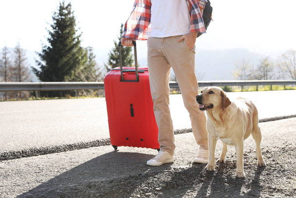 Man with red suitcase and adorable dog near road, closeup. Traveling with pet - Photo, Image