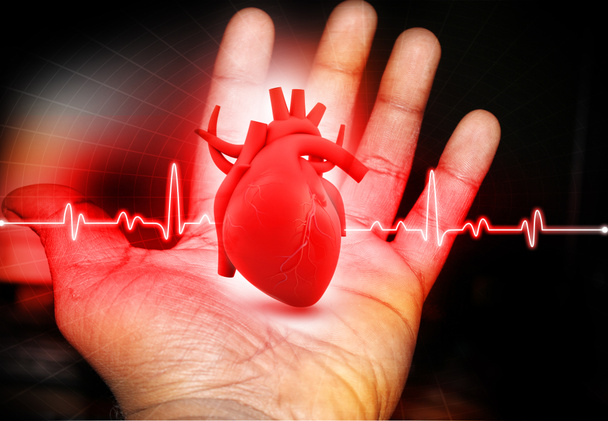 Людини серце в руках - Фото, зображення