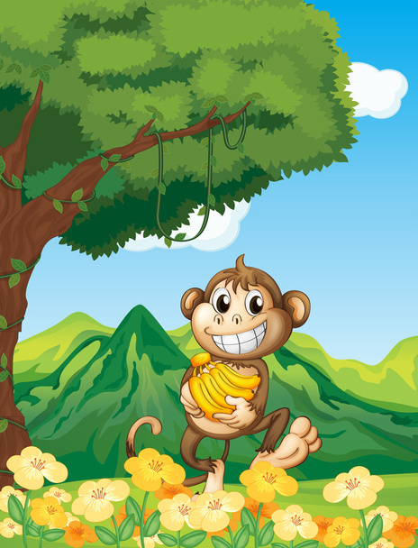 猿 - ベクター画像