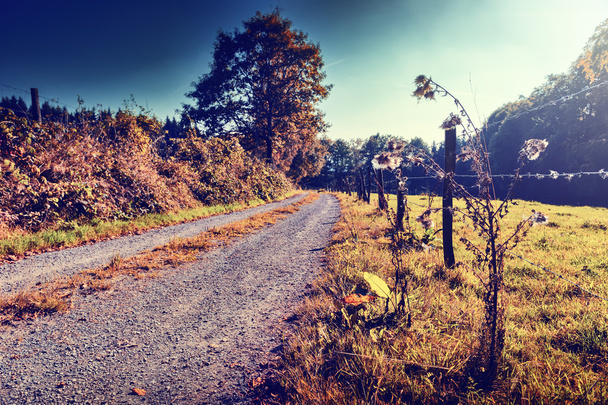 Autumn landscape with country road - Φωτογραφία, εικόνα