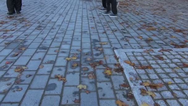 Werknemer met bladblazers opruimen herfstbladeren van bestrating - Video