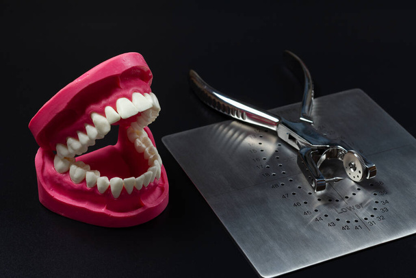 Layout of the human jaw with a dental hole punch and a metal plate on the black background. Medical tools concept. - 写真・画像