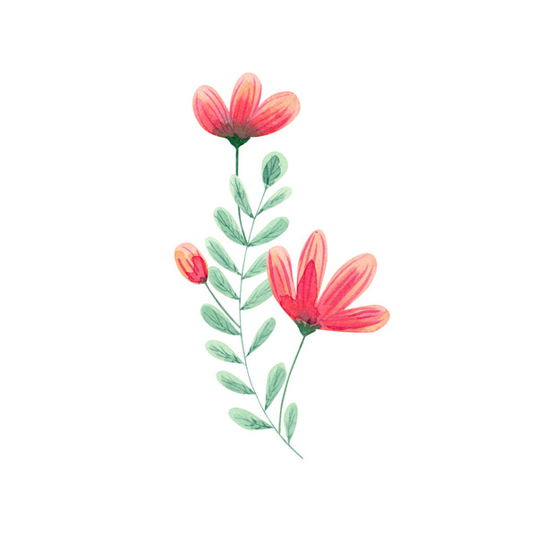 Floral composition illustration. Abstract pink and red flowers with green leaves and branch for greeting cards design, souvenirs print - Foto, afbeelding