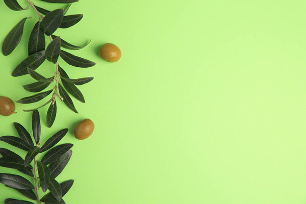 Fresh olives and leaves on light green background, flat lay. Space for text - Fotografie, Obrázek