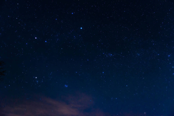 Nacht, licht bewolkte lucht. Het donkere firmament is bedekt met heldere, stralende punten van sterren, planeten en sterrenbeelden. Lichte wolken zweven boven de horizon. - Foto, afbeelding