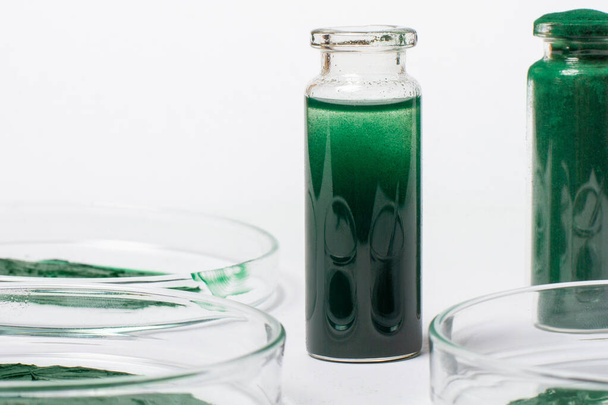 A solution or oil from spirulina in a jar. On a white background. Petri dishes with maxa or spirulina cream. - Фото, изображение